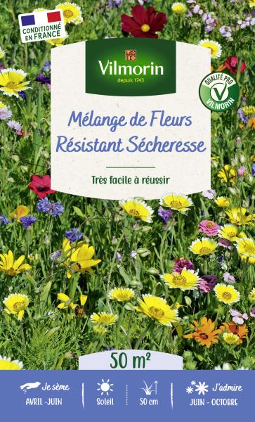 Mélanges de fleurs - Fleurs Terrain Sec - 50 m² - Mélange de fleurs - PACKAGING_RECTO